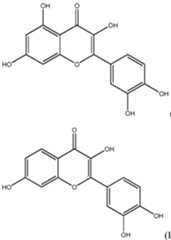 Figure imgf000005_0002