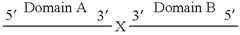 Figure US08106173-20120131-C00001