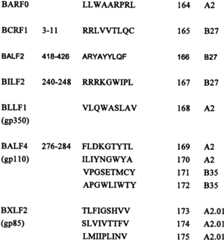 Figure BSA0000176163890000371