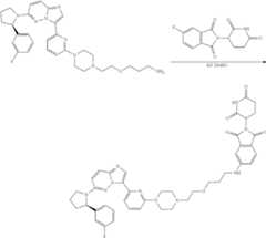 Figure US11969472-20240430-C00419