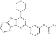 Figure US08685383-20140401-C00123