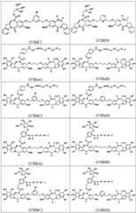 Figure BDA0003285627320000891