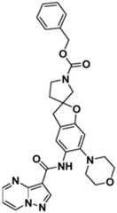 Figure BDA0001702803240005812