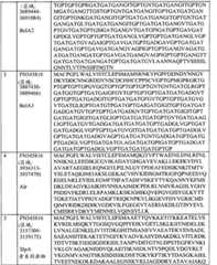 Figure BPA0000175368630000271