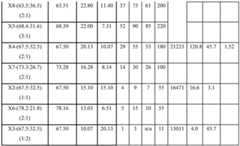 Figure BDA0002357430650000311