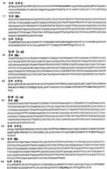 Figure 112008046186434-PCT00016