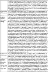 Figure imgf000150_0001