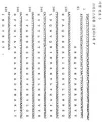 Figure 112001007761231-pct00079