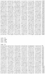 Figure IDA00002091897100911