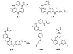 Figure 112016119396583-pat00114