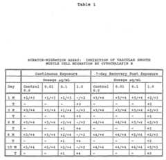 Figure imgf000063_0001