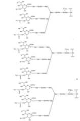 Figure 112009026250918-PCT00143