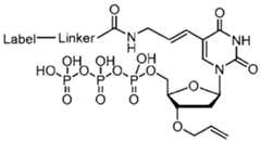 Figure imgf000080_0002