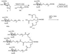 Figure imgf000212_0001