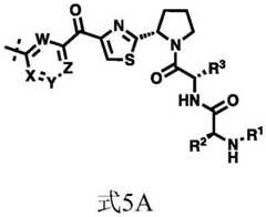 Figure FDA0002964098090000431