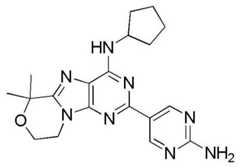 Figure BDA0001402557760001902