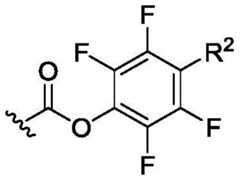 Figure BDA0003018192690002662