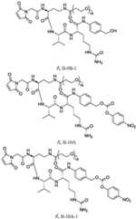 Figure BDA0003674984870000561