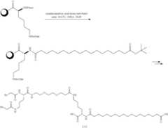 Figure US12329823-20250617-C00190