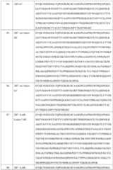 Figure PCTCN2022139288-appb-000022