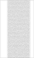 Figure BDA0002508391090001411