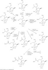 Figure US07750131-20100706-C00030