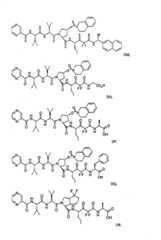 Figure G2009101493490D00931