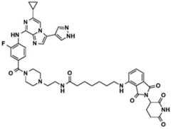 Figure BDA0002964098100001912