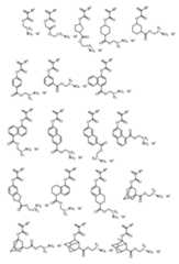 Figure 0007410065000019