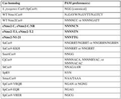 Figure imgf000082_0001