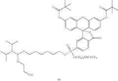 Figure US07671218-20100302-C00106