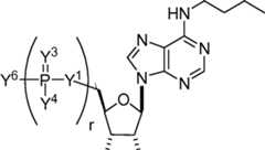 Figure AU2019202835A1_D0221