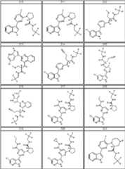 Figure BDA0000106649180000441