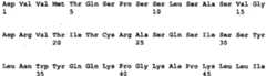 Figure imgb0544