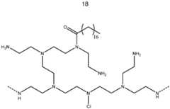 Figure imgf000019_0001