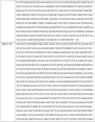 Figure imgf000392_0001