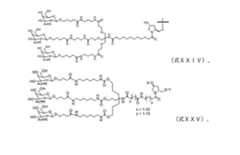 Figure 2023521094000020