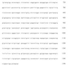 Figure 108123466-A0305-02-0462-362