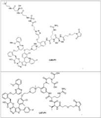 Figure imgf000076_0001