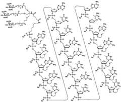 Figure GDA0003564942560000471