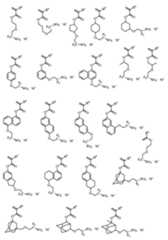 Figure 0007410065000022