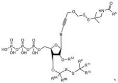 Figure BDA0003670511740003173