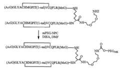 Figure 112005065158015-pct00052