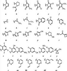 Figure FDA00001832816600261