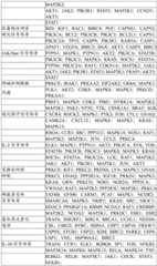 Figure BDA0004033970230003941