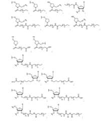 Figure 2023500681000166