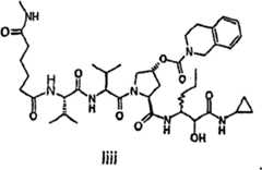 Figure G2009101493490D01901