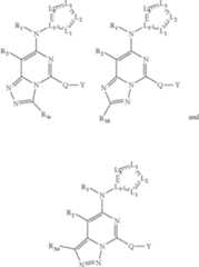 Figure US08288536-20121016-C00026