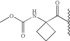 Figure US08314135-20121120-C00493