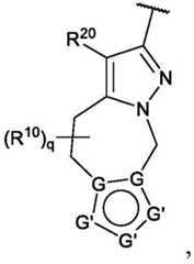 Figure FDA0002911816750000172